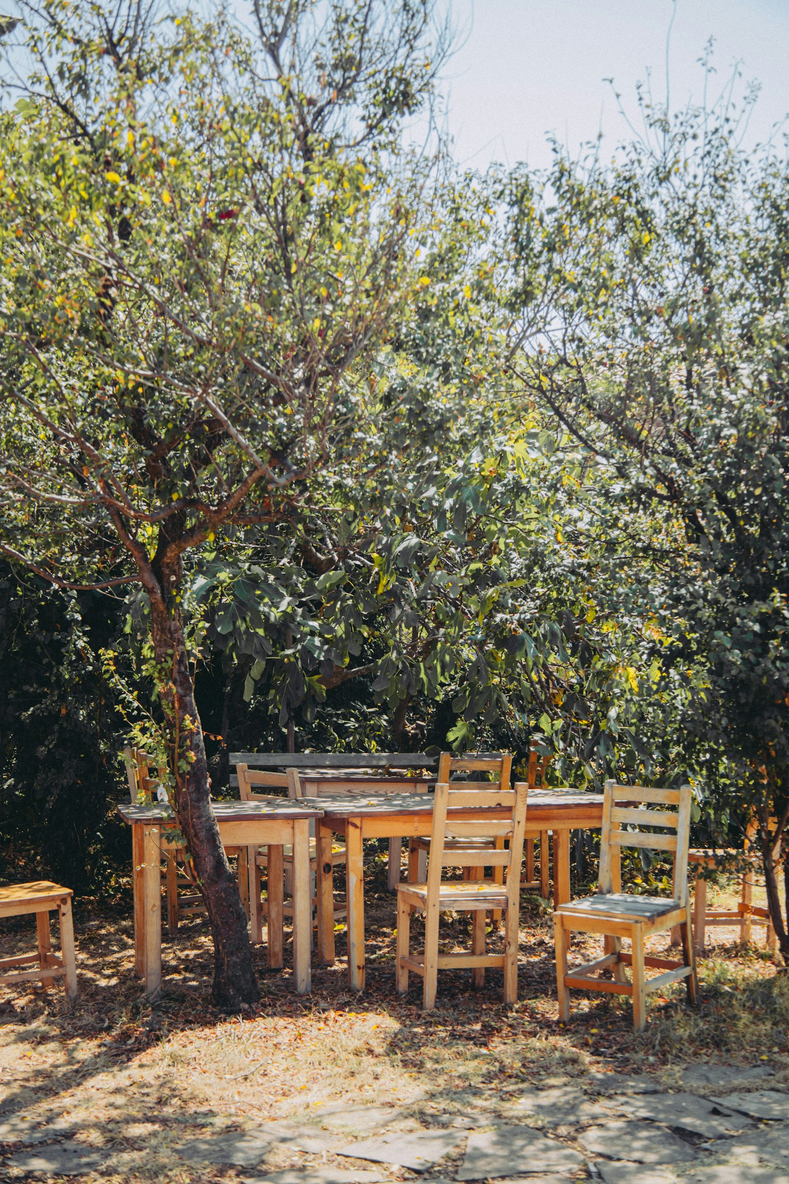 A small group of travellers sharing a meal at a long wooden table outdoors