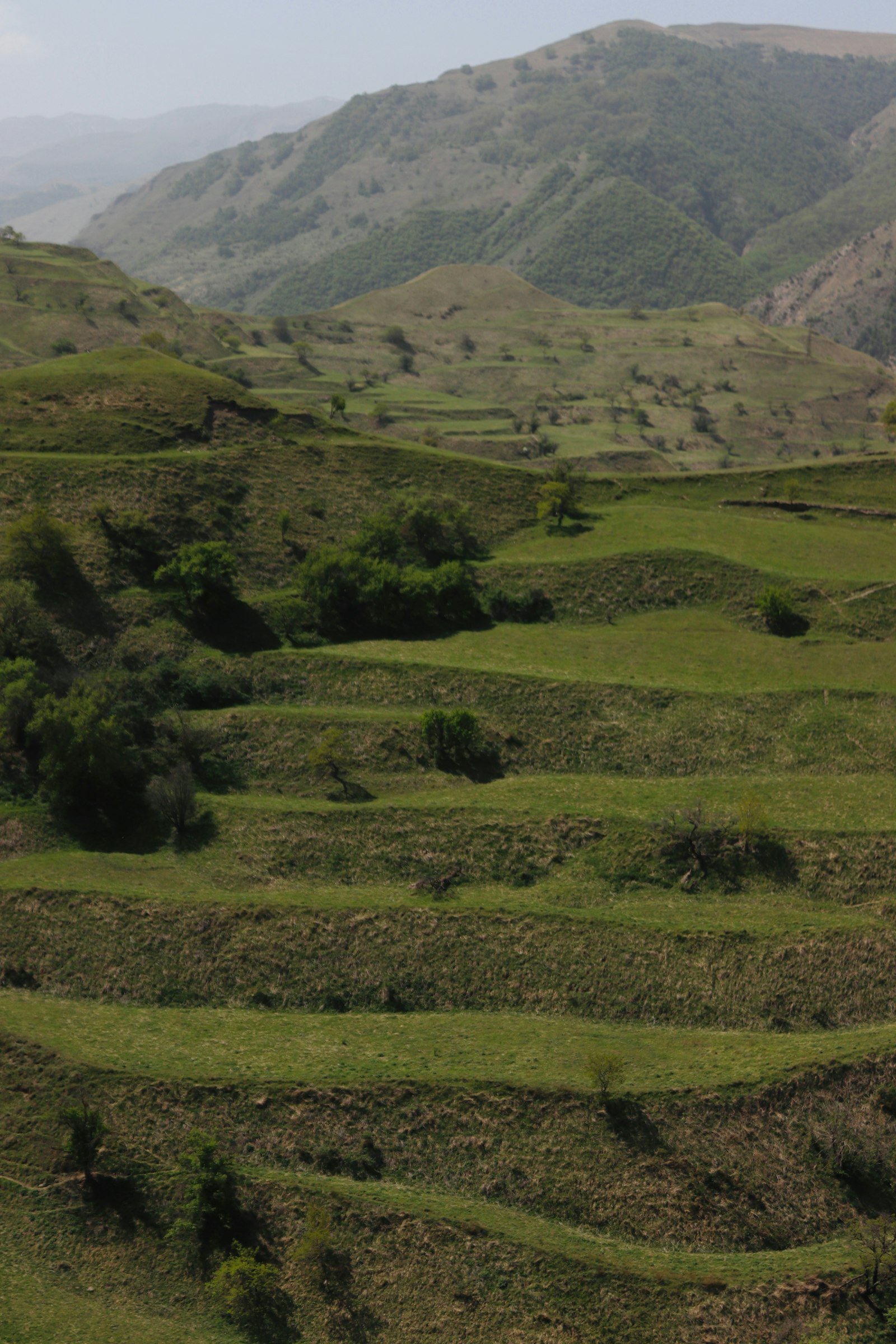 A stone walking path winding through terraced green hills
