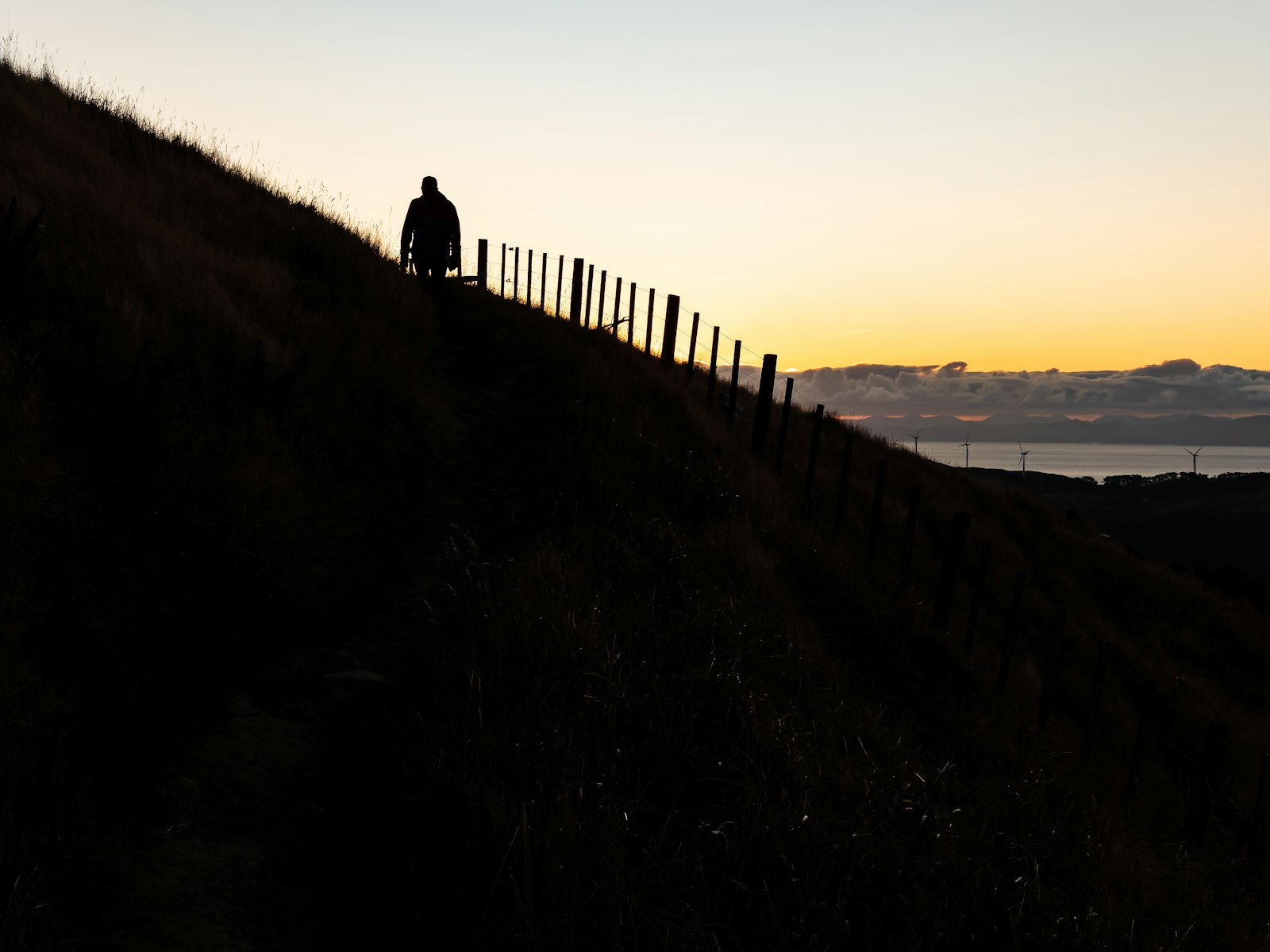 A traveller pausing on a hillside, looking out over an open landscape at dusk